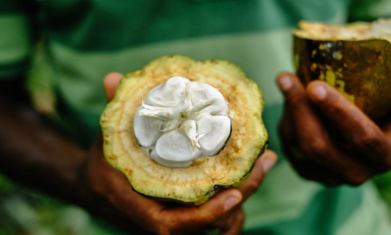 Omali Sao Tome Hotel Bagian luar foto